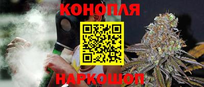 прущие грибы Краснокаменск