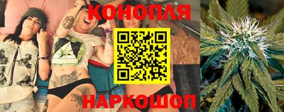 прущие грибы Краснокаменск