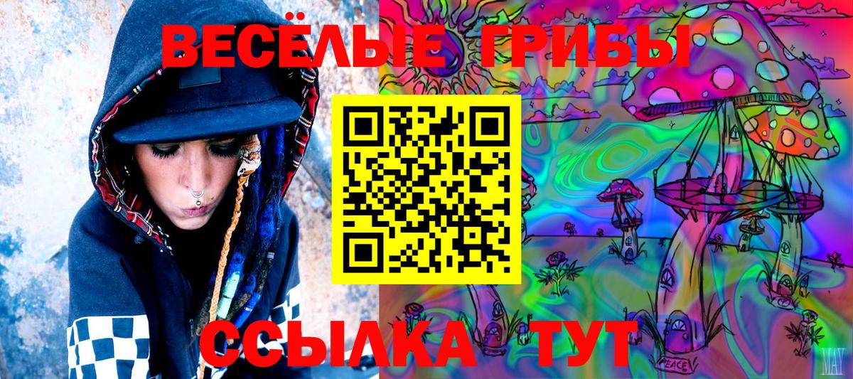 Галлюциногенные грибы Psilocybe  Вход с VPN  Кинель 