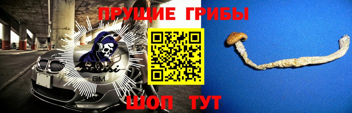 Галлюциногенные грибы Magic Shrooms Кинель